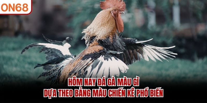 Hôm nay đá gà màu gì dựa theo bảng màu chiến kê phổ biến Hôm nay đá gà màu gì